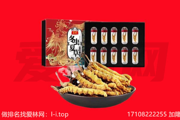 梅里斯区回收虫草.jpg
